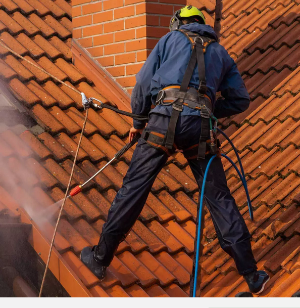 Nettoyage de toiture 1